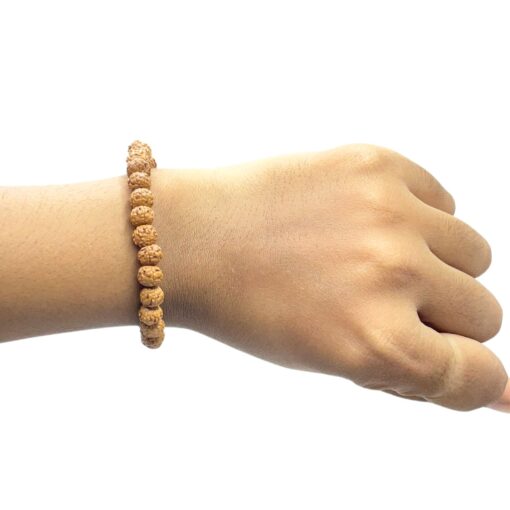 6 Mukhi Rudraksha Bracelet