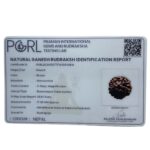 Ganesha Rudraksha - (17.50 MM)