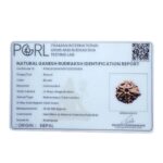 Ganesha Rudraksha - (18.26 MM) - (Rudrapuja)
