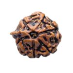 Ganesha Rudraksha - (18.41 MM)