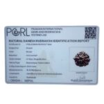 Ganesha Rudraksha - (18.41 MM) - (Rudrapuja)