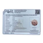 Ganesha Rudraksha - (19.30 MM) - (Rudrapuja)