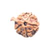 Ganesha Rudraksha - (19.30 MM) - (Rudrapuja)