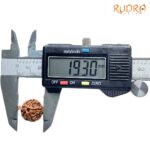 Ganesha Rudraksha - (19.30 MM) - (Rudrapuja)