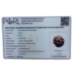 Ganesha Rudraksha - (20.58 MM)
