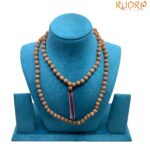 Premium Rudraksha Mala - 8 MM