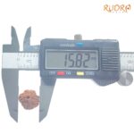 Ganesha Rudraksha - (15.82 MM) - (Rudrapuja)