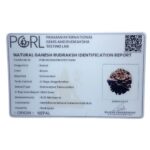 Ganesha Rudraksha - (16.22 MM) - (Rudrapuja)