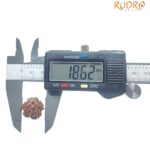 Ganesha Rudraksha - (18.62 MM)