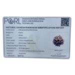 Ganesha Rudraksha - (18.70 MM) - (Rudrapuja)