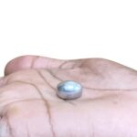 Parad Gutika Parad mani - 10 Grams