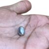 Parad Gutika Parad mani - 7 Grams
