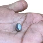 Parad Gutika Parad mani - 7 Grams