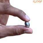 Parad Gutika Parad mani - 7 Grams