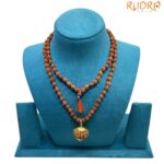 11 Mukhi With 5 Mukhi Rudraksha Mala
