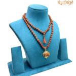 11 Mukhi With 5 Mukhi Rudraksha Mala