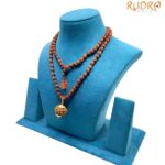 11 Mukhi With 5 Mukhi Rudraksha Mala