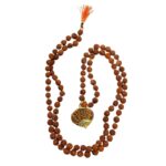 11 Mukhi With 5 Mukhi Rudraksha Mala