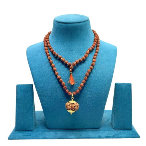 11 Mukhi With 5 Mukhi Rudraksha Mala