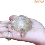 Sphatik Kashyap Crystal Tortoise - 111 Grams