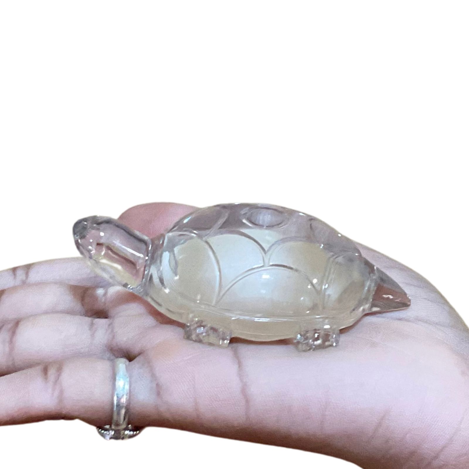 Sphatik Kashyap Crystal Tortoise - 111 Grams