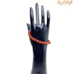 Virgo Zodiac Bracelet (कन्या राशि)
