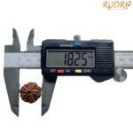 5 Mukhi Nepal Rudraksha - (18.25 MM)