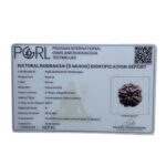 5 Mukhi Nepal Rudraksha - (19.10 MM)