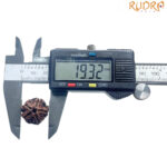 5 Mukhi Nepal Rudraksha - (19.32 MM)
