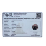 5 Mukhi Nepal Rudraksha - (19.40 MM)