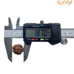 5 Mukhi Nepal Rudraksha – (18.70 MM)