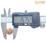 5 Mukhi Rudraksha Nepal - (15.75 mm) BP C