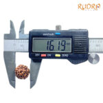 5 Mukhi Rudraksha Nepal - (16.19 mm)